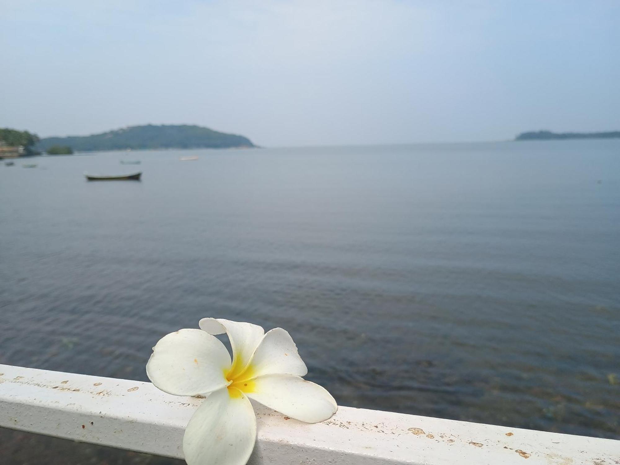 Gs Home On The Bay - Super Sea View Glass Studio Apartment Vagator Bagian luar foto